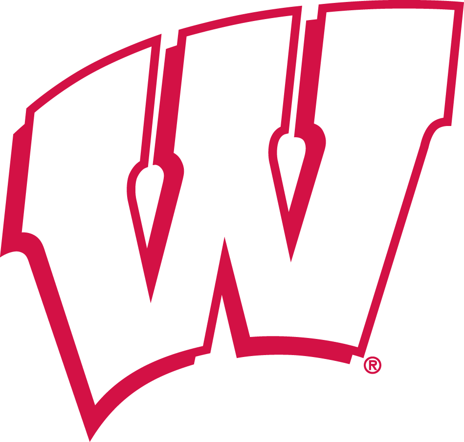 Wisconsin Badgers 1991-2017 Alternate Logo iron on transfers for clothing